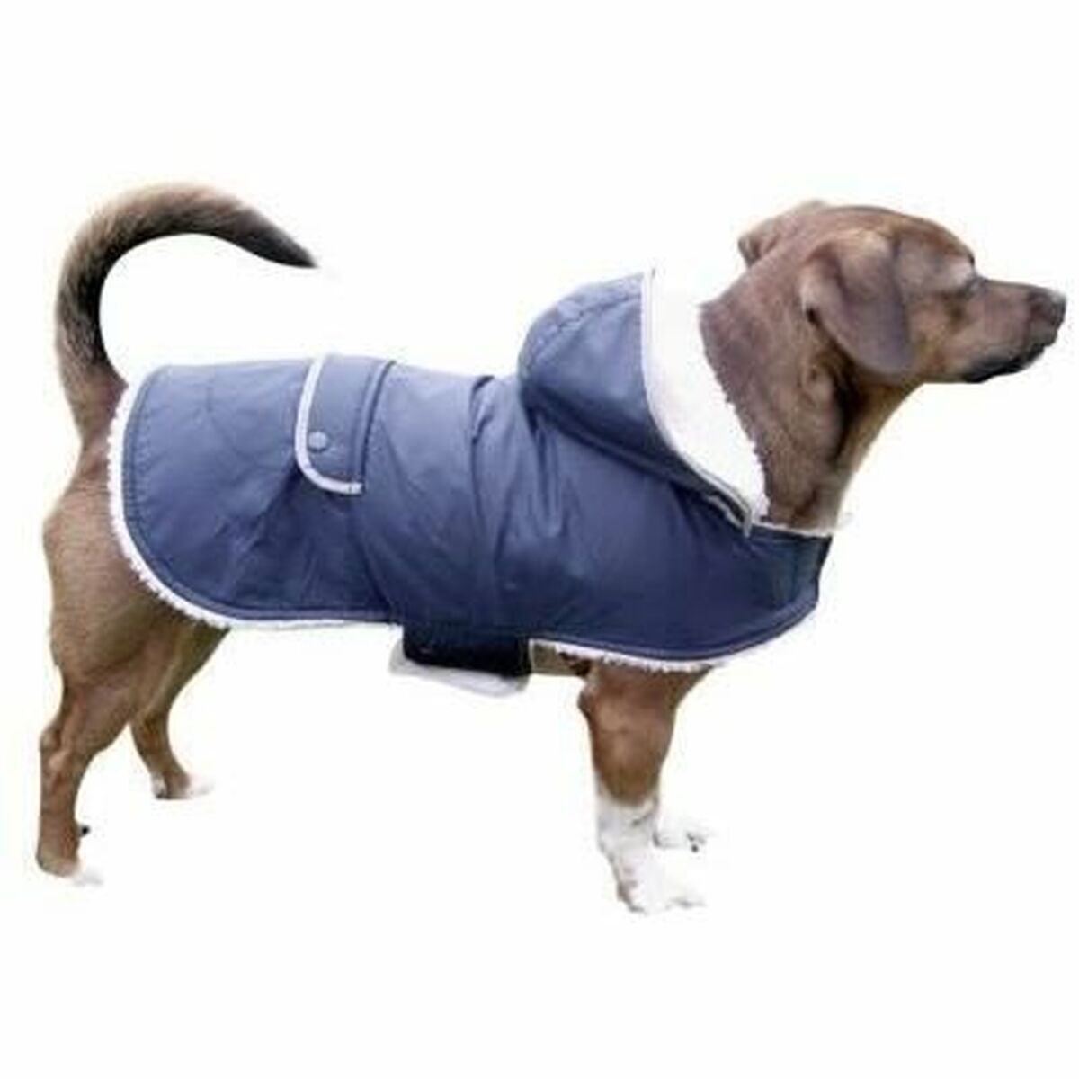 Manteau pour Chien Kerbl Noir