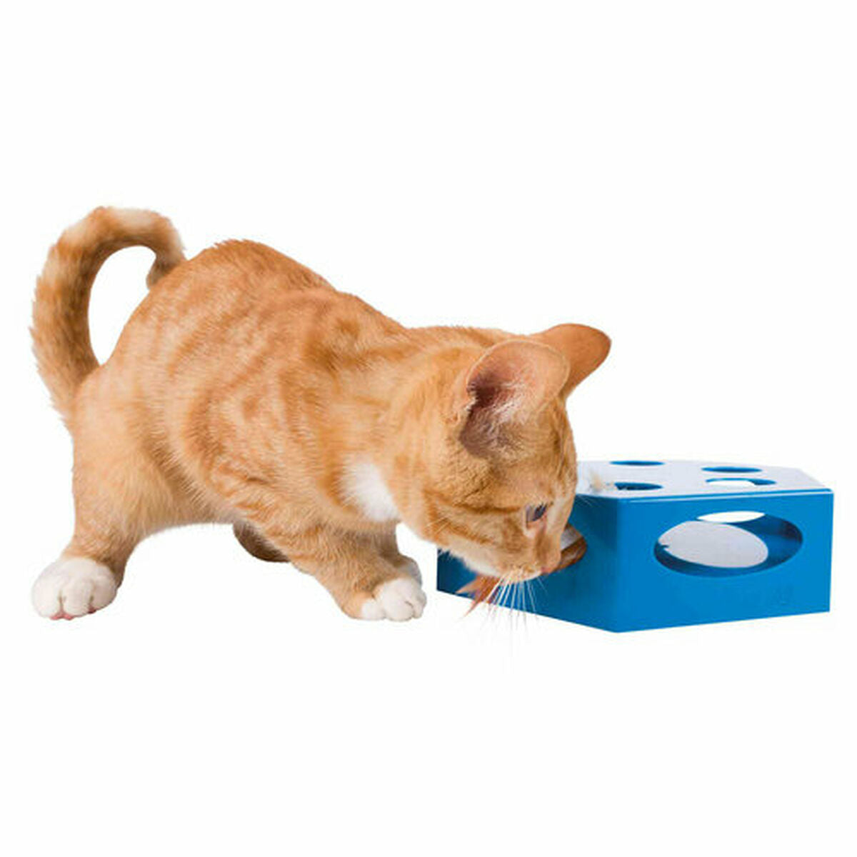 Jouet pour chats Trixie Gris Plastique Ø 22 cm